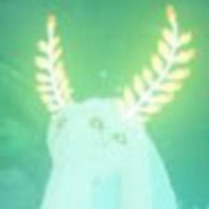 Meet your Posher, Jody